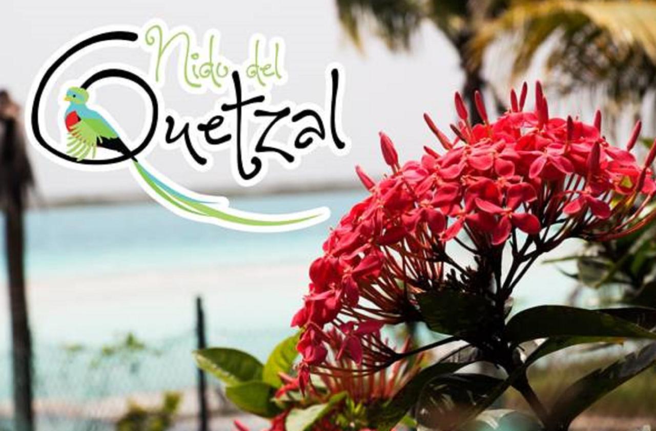 Nido Del Quetzal Hotell Bacalar Eksteriør bilde